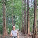 충북대 교정 이미지