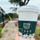 동인농장 | [인천 강화] 당일 캠크닉 &lt;은일농장&gt; 고기를 사갈 수 있는 외부음식 OK! 강화도 당일 바베큐장