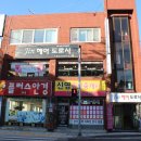 뉴-헤어도로시