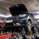 프로카센타 이미지