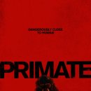 요하네스구미점 | 프라이메이트 (Primate) 후기