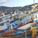 거제회센타 이미지