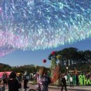 춤추는 고래 이미지