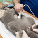 메인동물병원 이미지