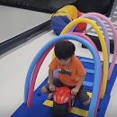 우석대 수 태권도 이미지