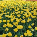 유성게임랜드 이미지