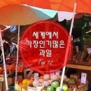 전세계과일