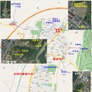 권희 묘 이미지