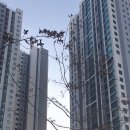 주안공인중개사사무소 이미지