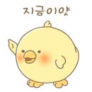 스시리짱