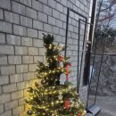 피부사랑 | 강릉 교동 피부관리 추천 남혜진피부사랑 재생관리 체험 후기