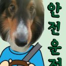 동진광택 이미지