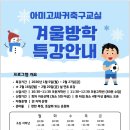 아미고