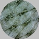 엄지세탁소 이미지