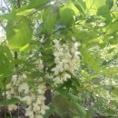 어질농장 이미지