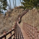 섬진강 트레킹코스 이미지