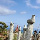 바다정원 이미지