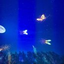 청호축산 | 🦀 [강원도 여행 2일차] 속초 집중 코스! 아바이마을, 갯배, 속초아이, 대게까지! (생일 파티 준비🎉)