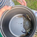 빙계군립공원 오토캠핑장 화장실 | 경남 바다앞 캠핑장 [상족암오토캠핑장] 2캠핑장 후기(feat. 명당자리)