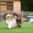 매교베스트약국 이미지