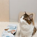 샤이니덴탈 이미지