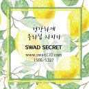 레몬사우나 네이버블로그