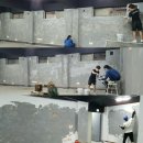 WS복싱클럽(성산점) 네이버블로그