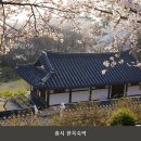 고운고시원 | 풍남동3가펜션 홍시 한옥숙박 시설 깔끔 한 가구 매장 이용 비용 안내
