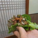 도원오리 이미지