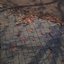 이비엠한의원 이미지