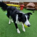 아이조아요양보호소 안양점 이미지