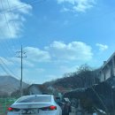 순도리네애견 | [경기도] 서울 근교 남양주 별내 신상 애견카페 :: 몽글브라운 가오픈 방문 후기