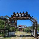 토마토원룸 앞 | 뚜벅이들의 힐링여행 가성비 좋은 수영장펜션 경주 프린세스 펜션 후기