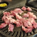 오늘 김해 생뒷고기 이미지