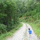 강릉임해자연휴양림 이미지