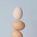 청주상회 티스토리