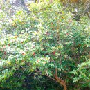 뱃고동 민박 이미지