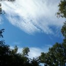 고담농장 이미지