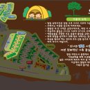 홍천강 자라바위 오토캠핑장 이미지