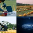 오렌지 PC 이미지