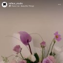 성산구 ⓒ-17 이미지