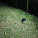 솔잎펜션 2 이미지