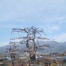 신동욱농장 이미지