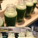 배드트레이너 이미지