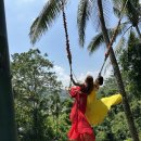 팀 스윙스톤 | 동남아 자유여행 추천 발리 가족여행지 스윙 래프팅 등 코스 추천