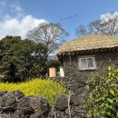 제주 성읍마을 객주집 | 성읍마을, 고요히 걷는 제주의 옛 풍경