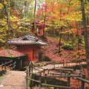 봄그리고가을가족호텔 이미지