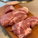 다은동물병원 이미지