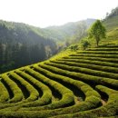 다원의원 이미지