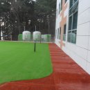 코오롱애견 이미지